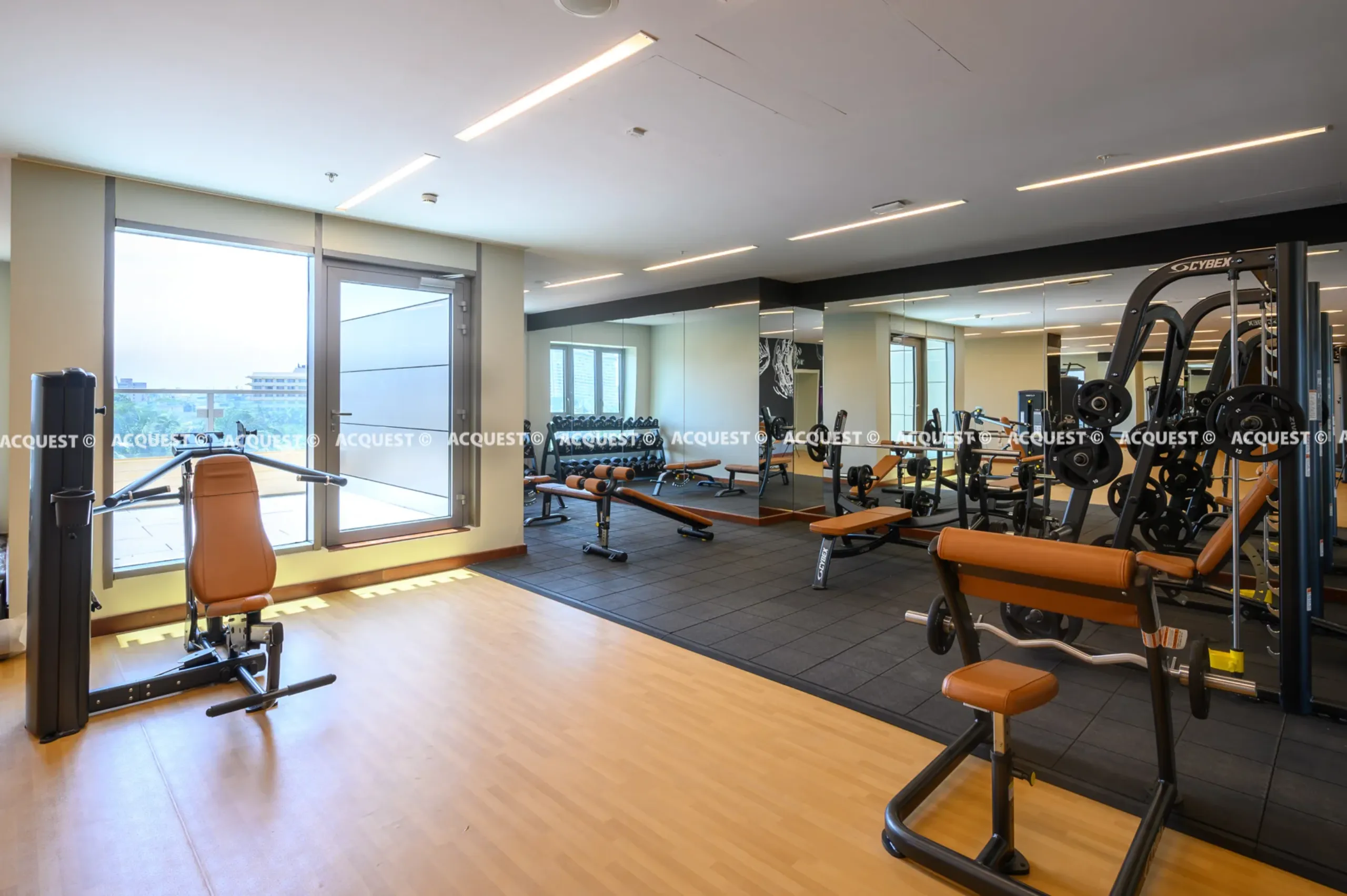 Cinnamon Life